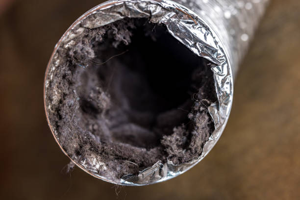 Air Duct Mold Removal in Green Cove Springs, FL